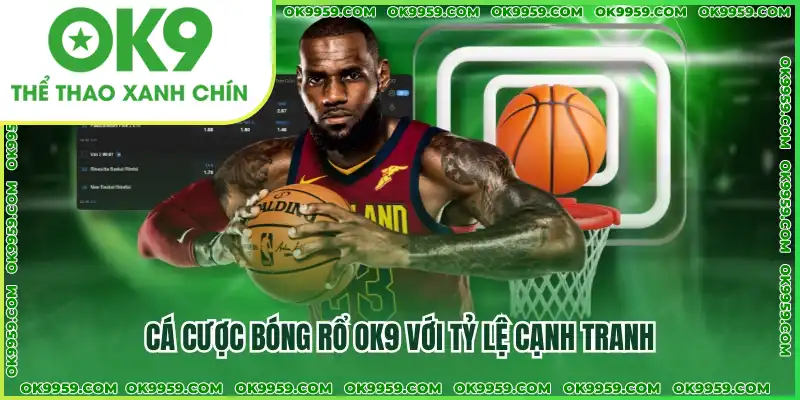 Cá cược bóng rổ OK9 với tỷ lệ cạnh tranh Cá cược bóng rổ OK9 với tỷ lệ cạnh tranh