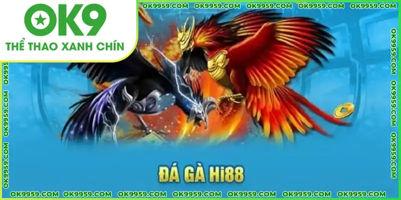 Người chơi được lựa chọn nhiều hình thức đá gà để phát tài Người chơi được lựa chọn nhiều hình thức đá gà để phát tài