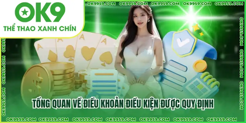 Tổng quan về điều khoản điều kiện được quy định Tổng quan về điều khoản điều kiện được quy định