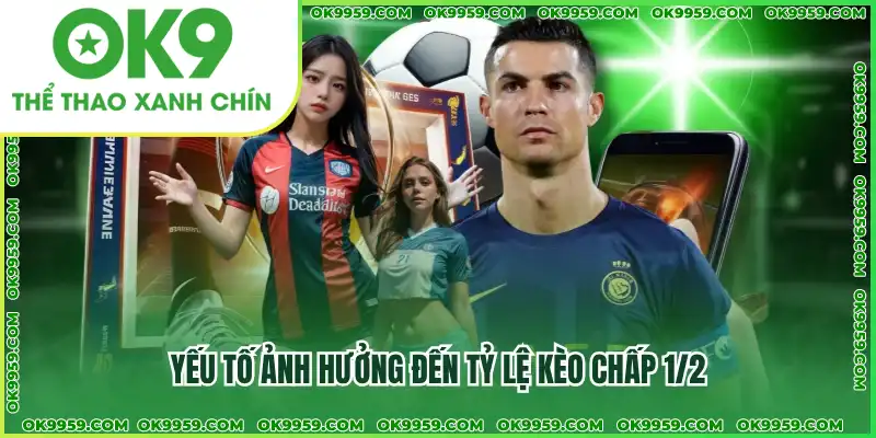 Yếu tố ảnh hưởng đến tỷ lệ kèo chấp 1/2 Yếu tố ảnh hưởng đến tỷ lệ kèo chấp 1/2